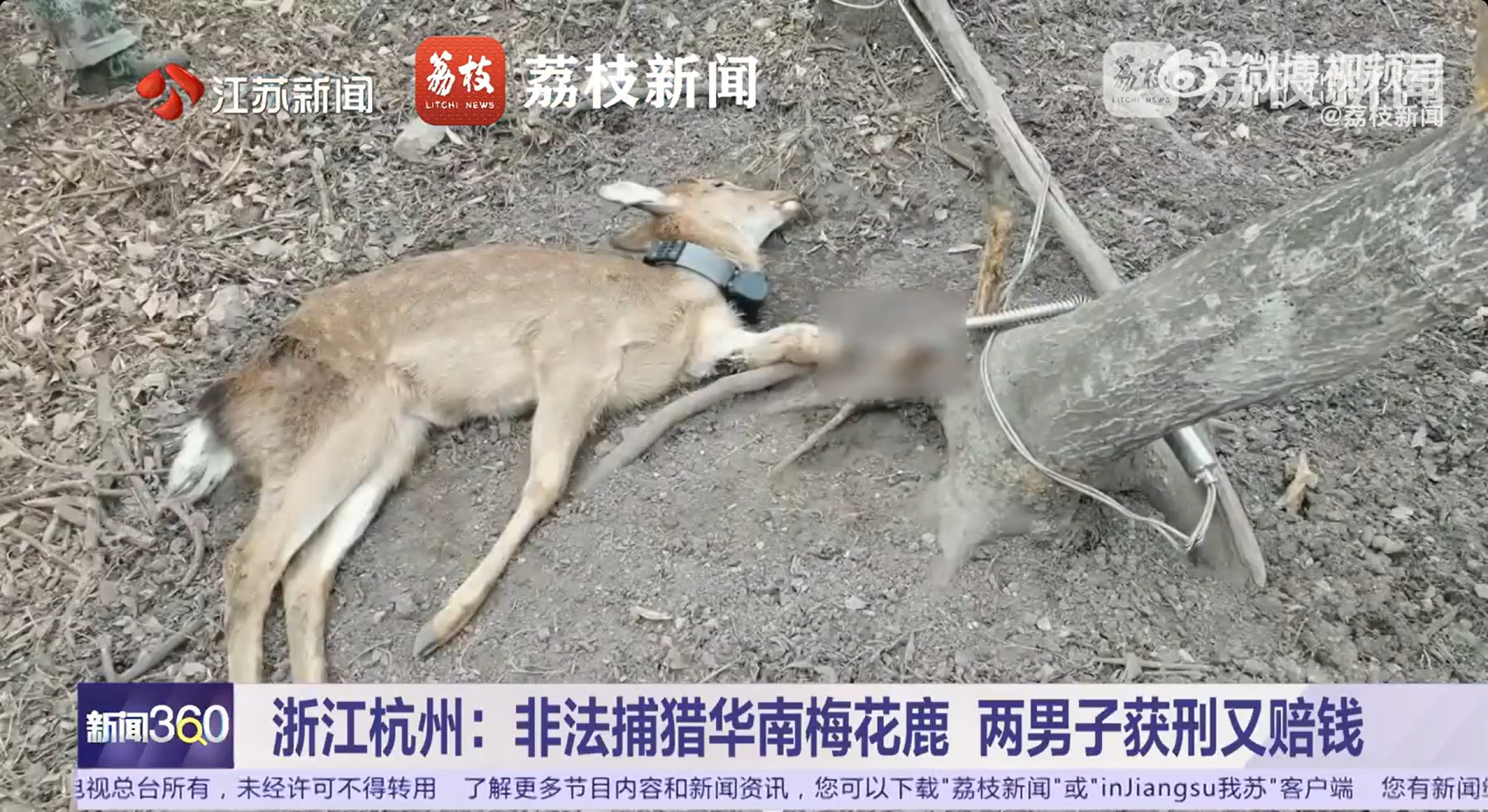 微信截图_20250724171003.jpg