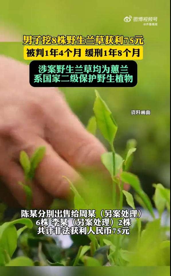 1763979171863002.jpg ScreenShot_2025-11-24_181230_594.jpg